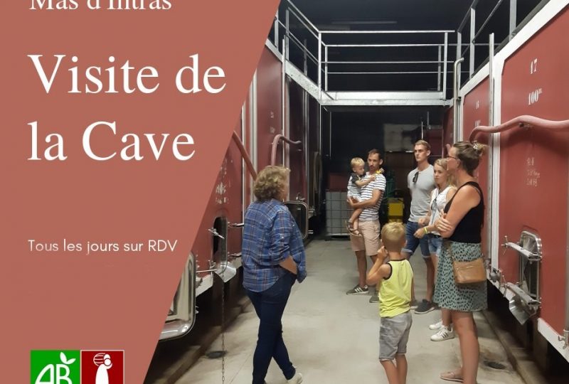 Visite de la cave – Gaec du Mas d’Intras à Valvignères - 1