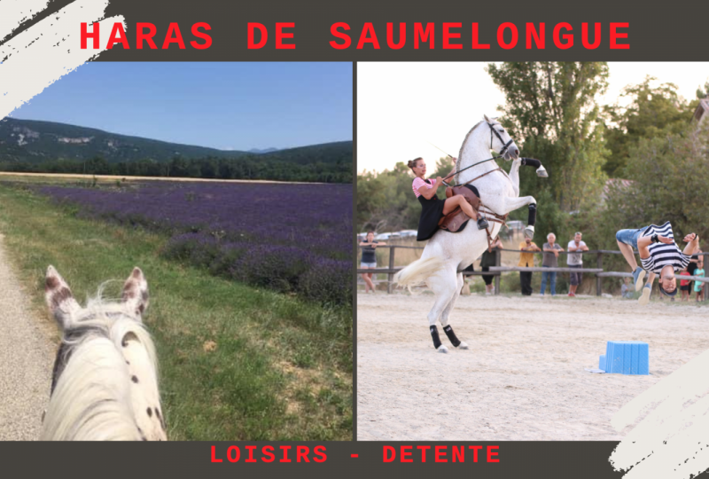 Haras de Saumelongue à Puy-Saint-Martin - 0